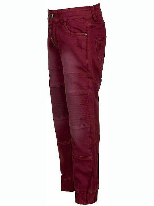Hashtag Kids' Burgundy Jeans Trousers
