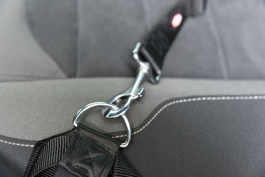 Trixie Friends On Tour Seatbelt Car for Dog 45-70cm / 25mm Black
