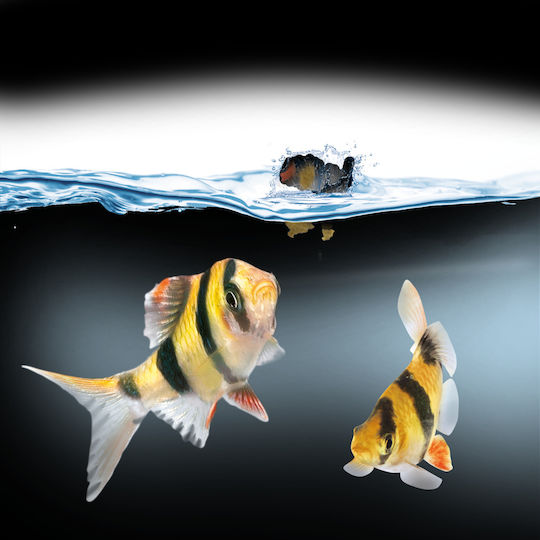 Juwel Automatic Fish Feeder Easy Feed Automatic Feeder