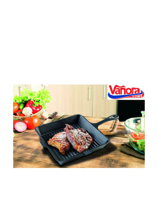 Heinner Γκριλιέρα από Μαντέμι 25cm