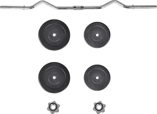 vidaXL ​Στραβόμπαρα Φ25mm Σετ με Βάρη 30kg Μήκους 120cm με Βιδωτά Κολάρα