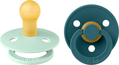 Bibs Schnuller Gummi Colour Nordic Mint / Forest Lake für 0-6 Monate 2Stück