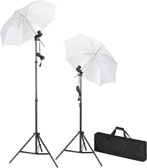 vidaXL Photography & Video Lighting Kit 2 Lights 24W 5500K With Tripod
