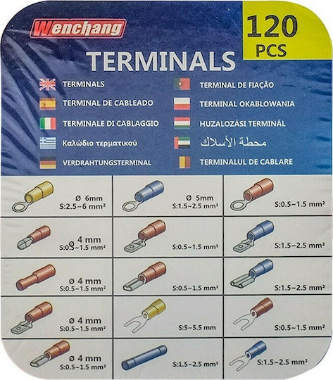 Carpoint Insulated Terminal Kit 100pcs 1623500