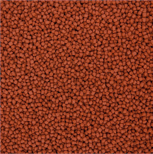 Ocean Nutrition Formula ONE Marine Medium Pellet Tropical Fish Food Sticks with Spirulina 100gr