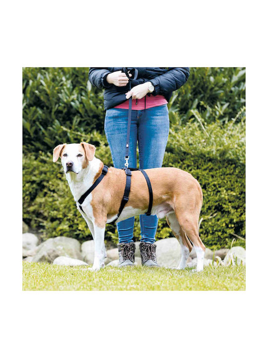 Trixie Hundegeschirr Stay Schwarz X-Large / Groß 25mm x 75-100cm 13094