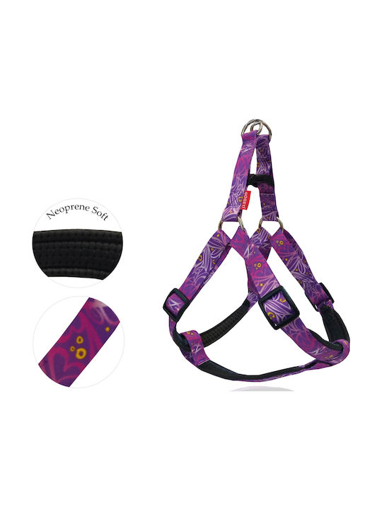 Pet Interest Motivo X-Small 10mm x 26-40cm