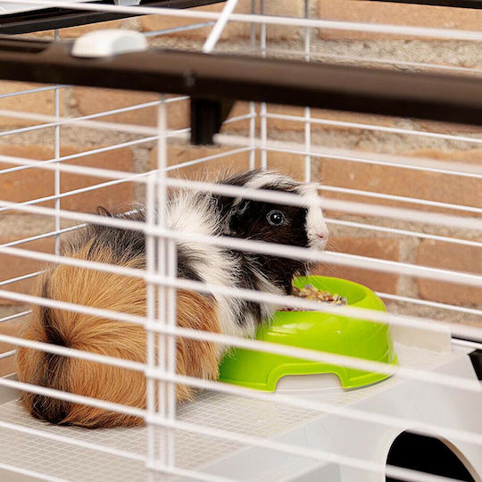 Ferplast Casita 80 Rodent Cage Cage for Rabbits and Guinea Pigs 78x48x50cm