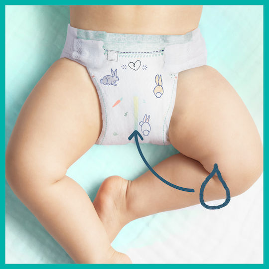 Pampers Tape Diapers Harmonie No. 5 for 11-16kg 24pcs