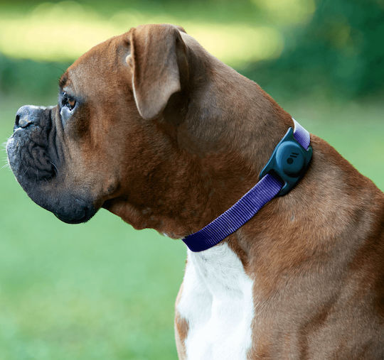 Case-Mate Dog Θήκη Κολάρου Κατοικιδίων Σιλικόνης για AirTag σε Μαύρο χρώμα