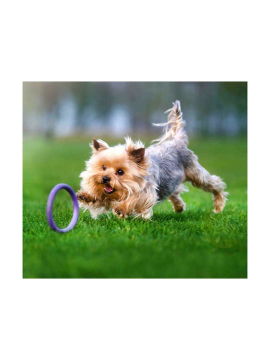 WauDog Puller Frisbee Σκύλου 12.5εκ. Μωβ