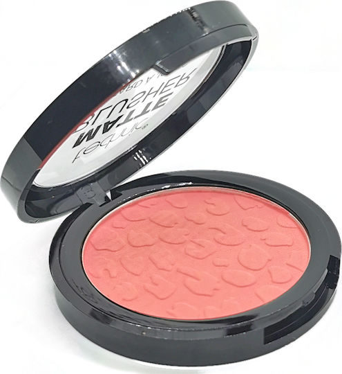 Technic Blush Matte Blusher 11gr