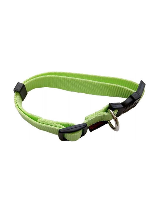 Pet Interest Plain Line Dog Collar Fluo Green Small 15mm x 22 - 40cm 3107-S