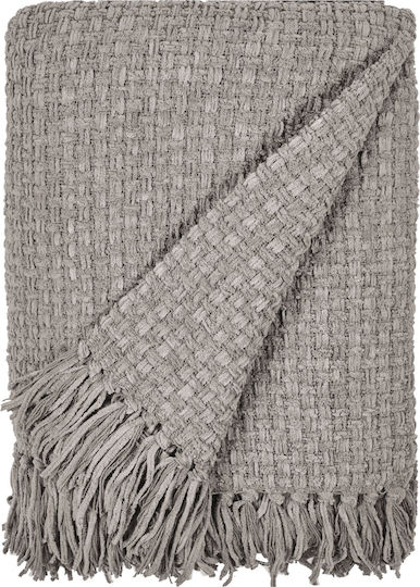 Kentia Palmer Kentia Palmer