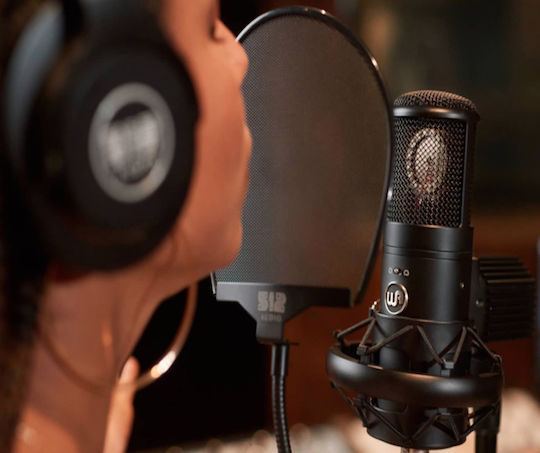 Warm Audio WA-8000 Kondensatormikrofon Stoßmontiert für Gesang