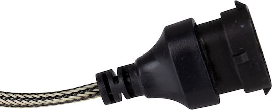 GloboStar Lampen Auto C6 Line H16 Canbus LED 6000K Kaltes Weiß 8-48V 72W 2Stück