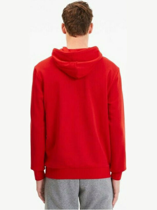 Puma TeamGoal 23 Men's Sweatshirt with Hood & Pockets Red