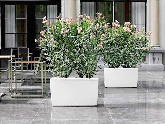 Lechuza Cararo Premium Self-watering Planter Box Plastic White 75x30x42.5cm.