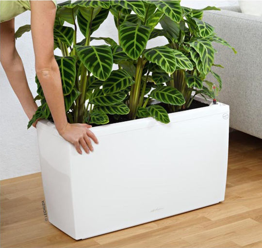 Lechuza Cararo Premium Self-watering Planter Box Plastic White 75x30x42.5cm.