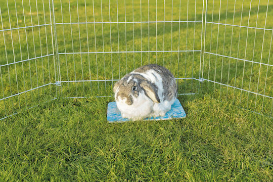 Trixie Accessories for Cages for Hamster Cooling Mat 20x15cm