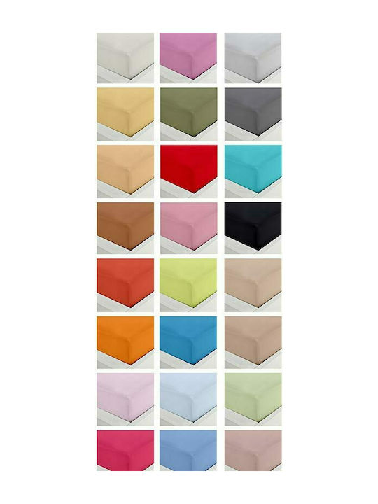 Sunshine Sheet Semi Double with Elastic 120x200+20cm. Menta 152 Fuchsia 9