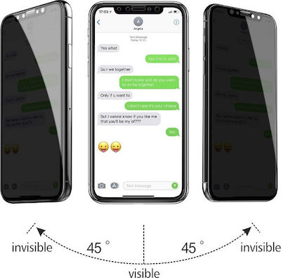 Privacy Full Face Tempered Glass (iPhone XR)