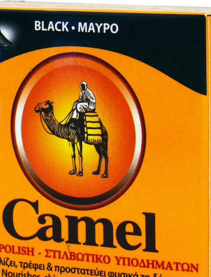 Camel Vopsea pentru Încălțăminte din piele Negru 40ml