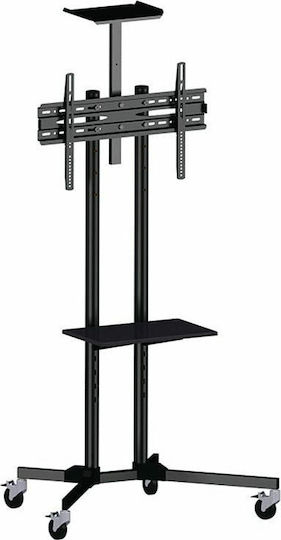 Focus Mount T014 Βάση Τηλεόρασης Δαπέδου έως 65" και 50kg