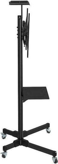 Focus Mount T014 Βάση Τηλεόρασης Δαπέδου έως 65" και 50kg