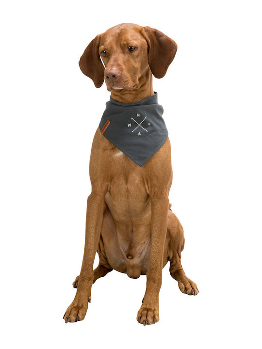 Trixie Be Nordic Dog Bandana Medium Dark Grey Bandana with Wind Rose Design in Gray color 17333