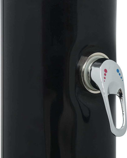 vidaXL Solar Pool Shower 214x19.5x19.5cm Black