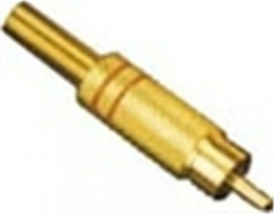 Tele Βύσμα RCA male Χρυσό