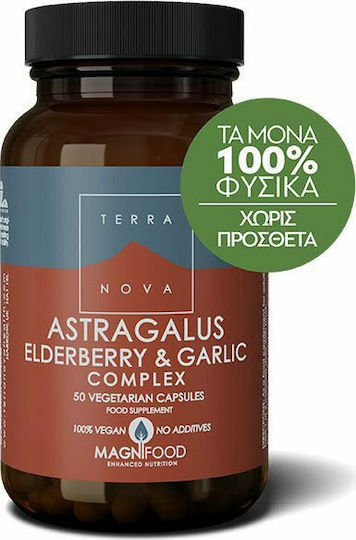 TerraNova Astragalus Elderberry & Garlic Supliment pentru Întărirea Sistemului Imunitar 50 capsule veget