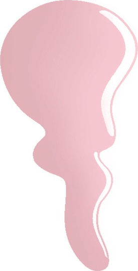 Erre Due Pro Gel Glossy Βερνίκι Νυχιών Μακράς Διαρκείας 524 Joyfull Lyrics 12ml