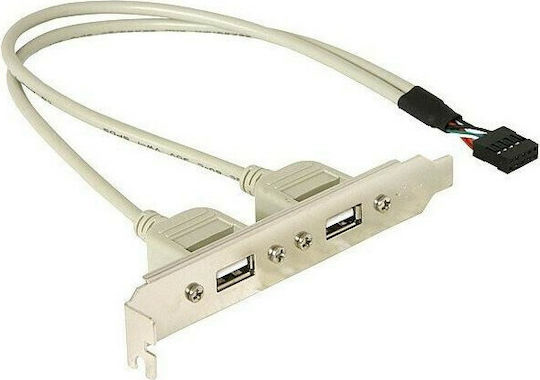 DeLock Port Bracket 71000