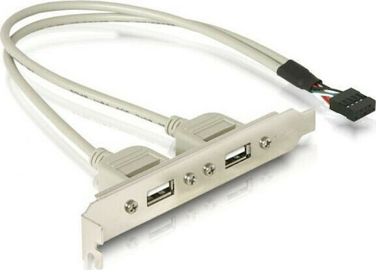 DeLock Port Bracket 71000
