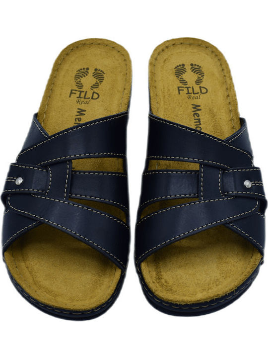 Fild Anatomic