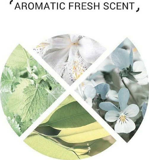System Professional Derma Purify P1 Sampon de Păr împotriva Mătreaței pentru Toate Tipurile de Păr 250ml