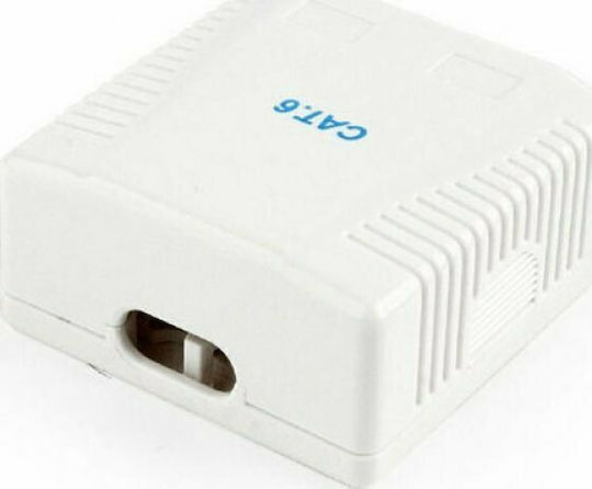 Cablexpert CAT6 UTP 2-Port sUrface Mount Box Halterung/Erweiterungsbox 1Stück (NCAC-2F6-01)