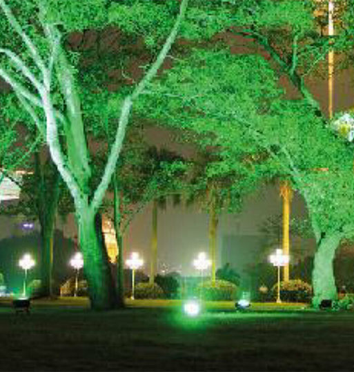Aca Waterproof LED Floodlight 30W Green IP66