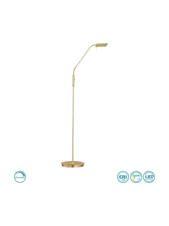 Wofi Cory LED Φωτιστικό Δαπέδου Υ150xΜ27εκ. με Θερμό Λευκό Φως 600lm Χρυσό