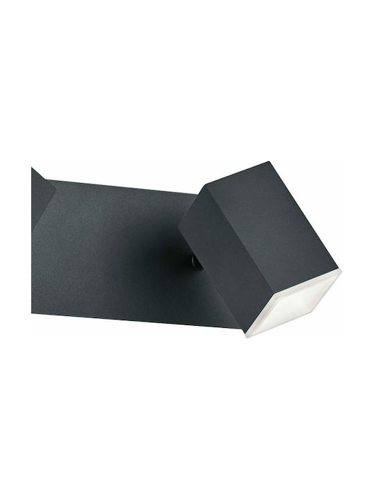 Trio Lighting Lagos Double LED Spot in Black Color