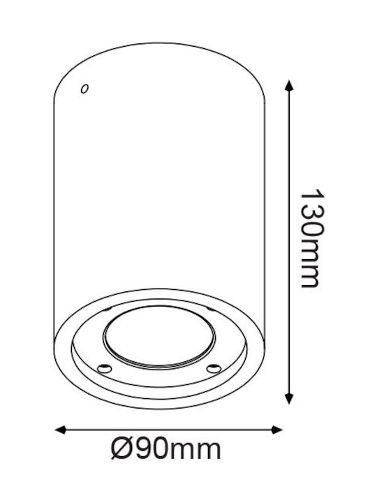 Aca Rezistent la apă Spot de Exterior GU10 în Culoare Alb MK163130RW