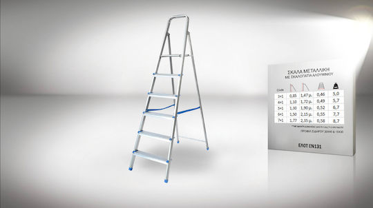 Pankoskal Economy Ladder Aluminum with 6+1 Steps 222cm