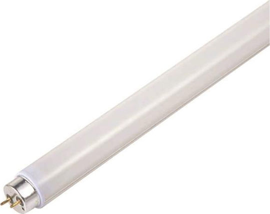 Eurolamp Fluorescent Lamp for Socket G13 with Shape T8 36W