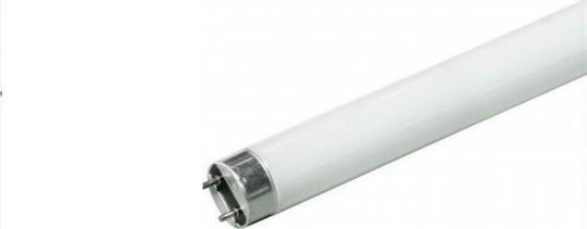 Eurolamp Λάμπα Φθορίου για Ντουί G13 με Σχήμα T8 30W