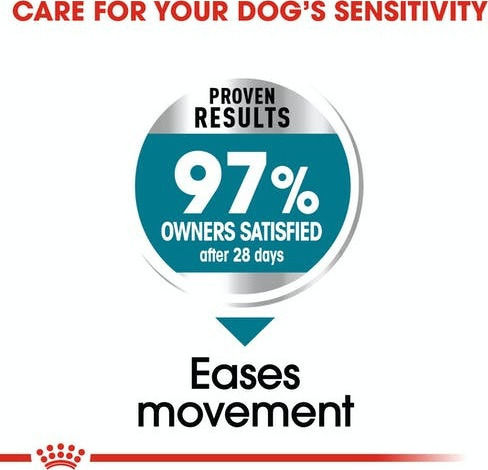 Royal Canin Joint Care Maxi 10kg Dry Food for Adult Large Breed Dogs with Rice
