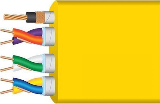 Wireworld USB 2.0 Cablu USB-A - USB-B Galben 0.6m
