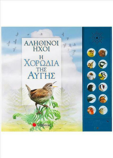 Η ΧΟΡΩΔΙΑ ΤΗΣ ΑΥΓΗΣ