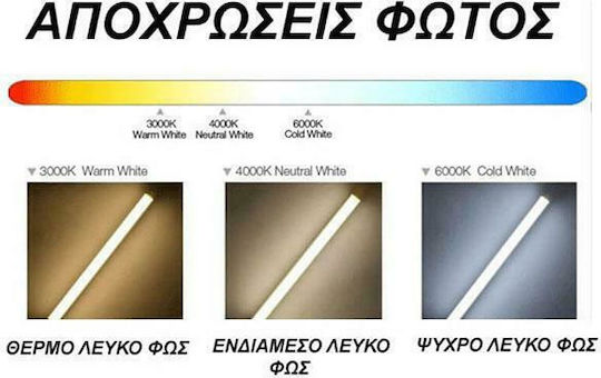 Diolamp LED Bulb 15W 138mm for Socket E27 Warm White 1530lm